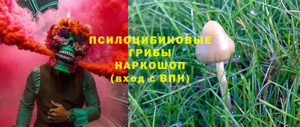 прущая мука Абаза