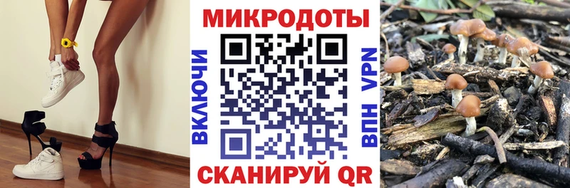 Галлюциногенные грибы MAGIC MUSHROOMS  Сурск 